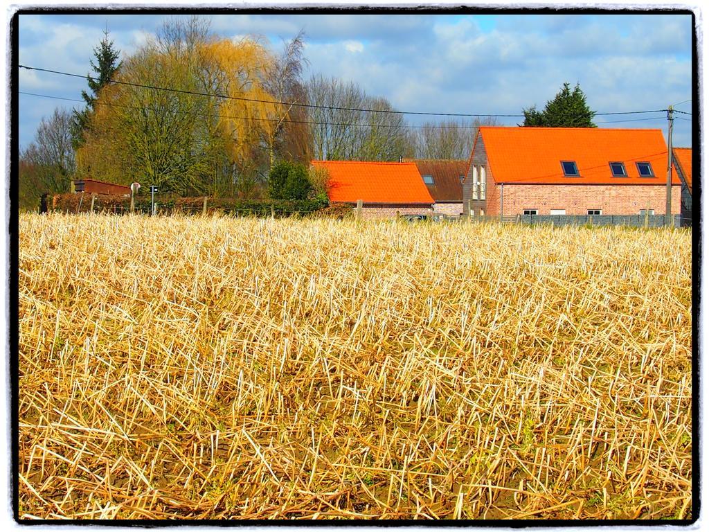 Archipel Holiday Cottage Ellezelles Exteriör bild