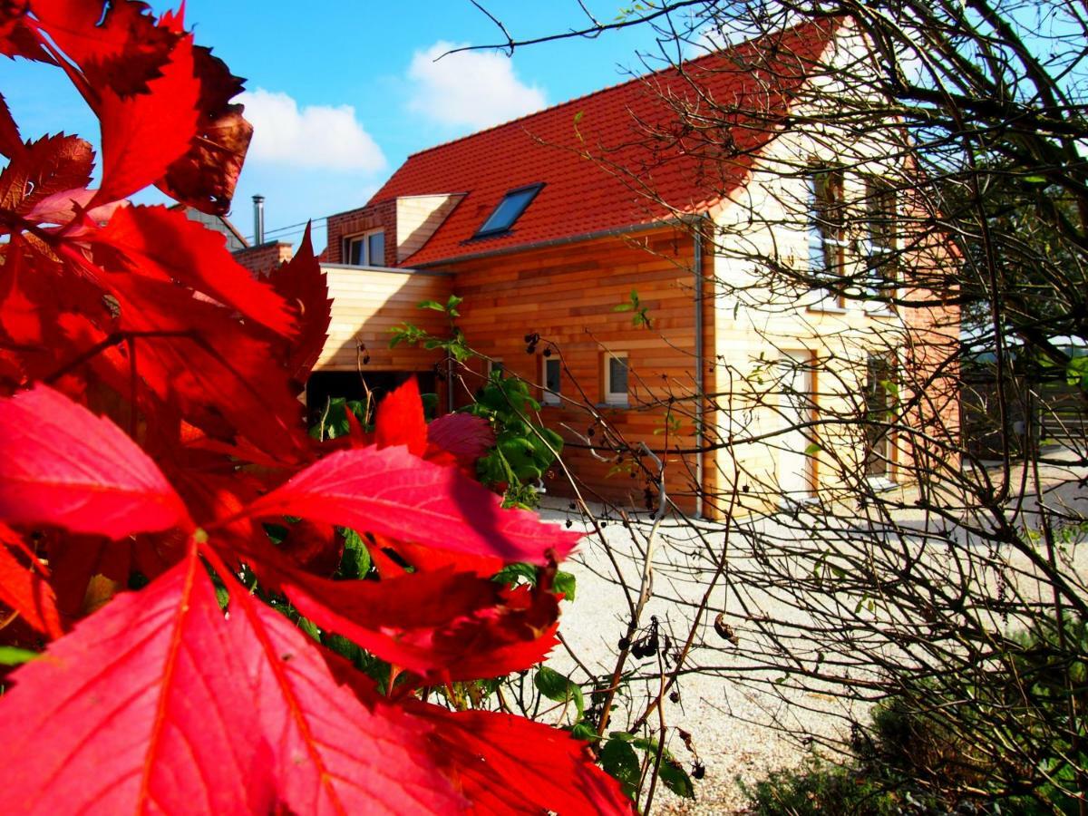 Archipel Holiday Cottage Ellezelles Exteriör bild